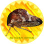 Big Thicket Critters logo
