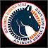 1gsNH_eq1MY-channel-avatar-BARMER HORSE 