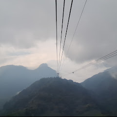 オーストラリア永住の日本人家族