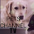 PETS CHANNEL TV