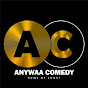 Anywaa Comedy logo
