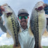 g8HpK6X4NfQ-channel-avatar-Average Guy Outdoors 