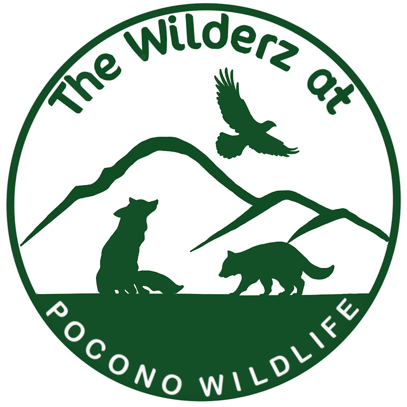 The Wilderz at Pocono Wildlife avatar