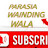 PARASIA WAINDING WALA