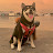 youtube avatar