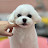 @김도현-g1z3e