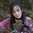 aWiOrm0zlSA-channel-avatar-Bonsai Channel
