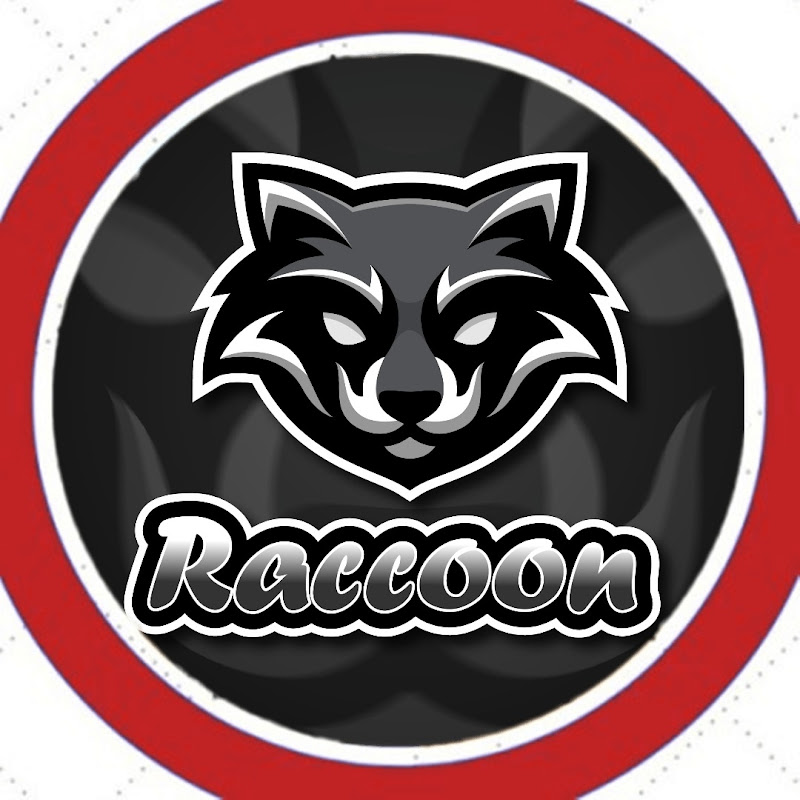 Raccoon 