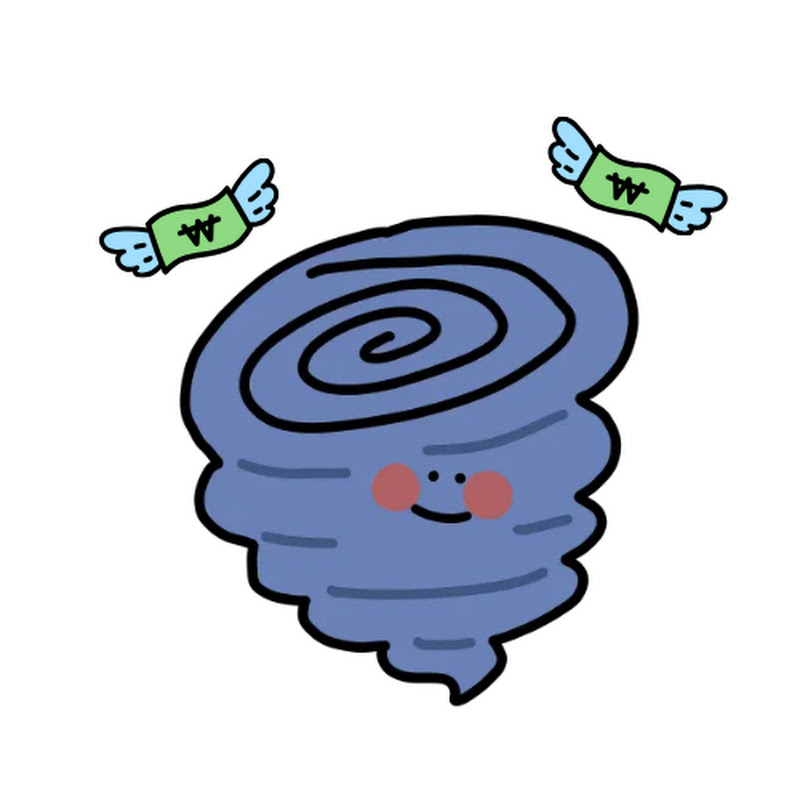 소용돌이 경제학