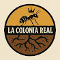 La Colonia Real🐜👑 logo
