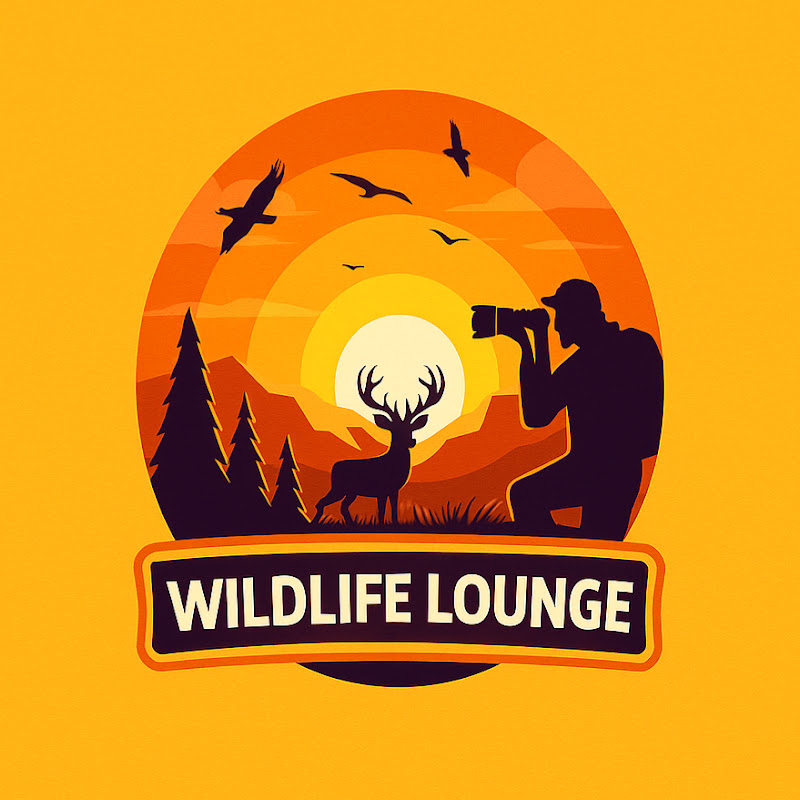 WildLifeLounge