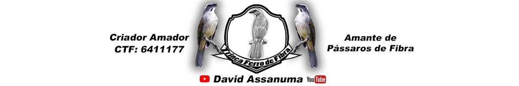 David Assanuma Avatar canale YouTube 