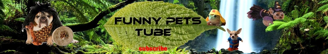 Funny Pets Tube Avatar canale YouTube 