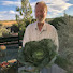 ZsDgYHZK2wA-channel-avatar-Dougs Urban Garden