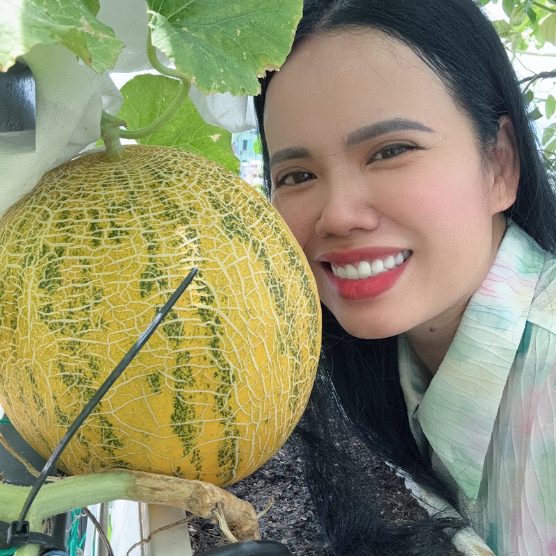 Mơ về vườn sân thượng Sài Gòn 