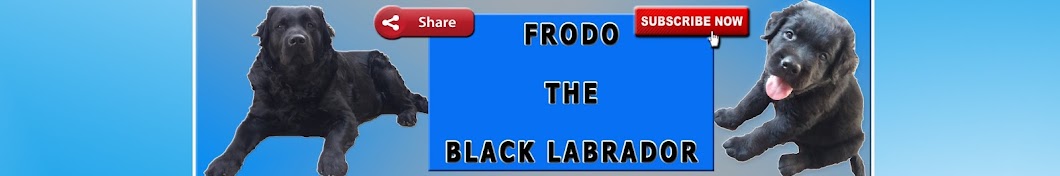 Frodo - The black labrador Avatar channel YouTube 