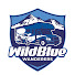 HuXXslqzD9E-channel-avatar-Wild Blue Wanderers