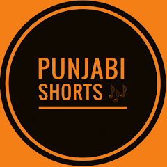 Punjabi Shorts