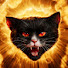 4R-rra2OZcY-channel-avatar-Bando do Gato