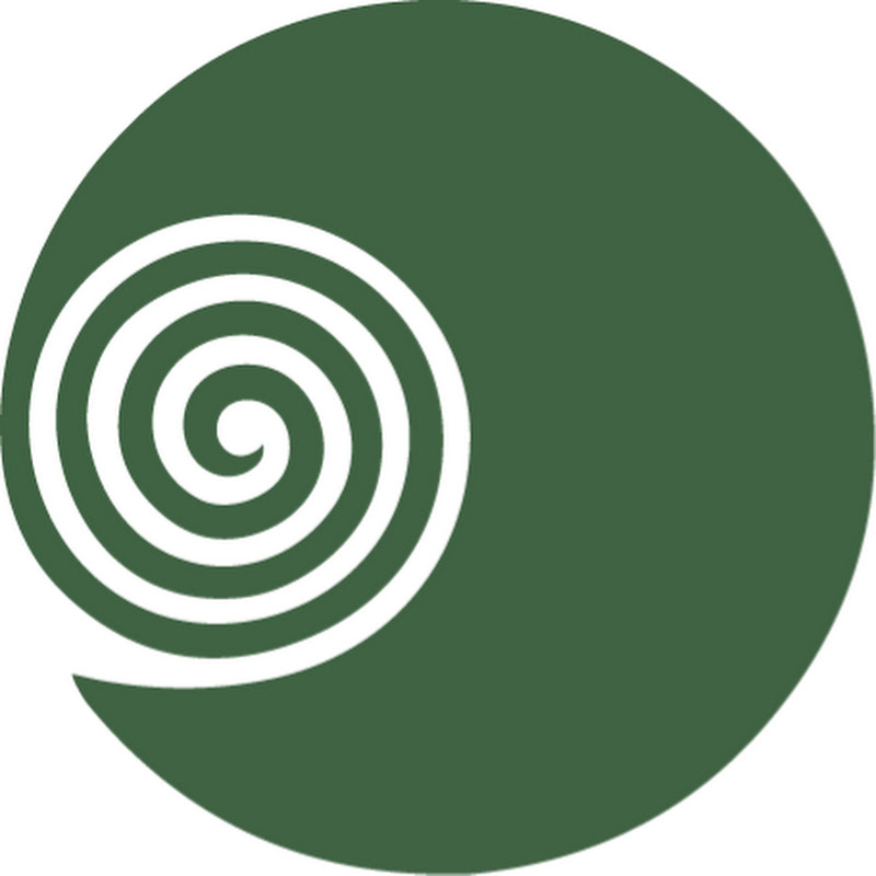 Mat You Can | Corsi di Pilates e Yoga online