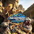 -Jk6j4je20Q-channel-avatar-MUSANG VLOG