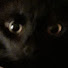 cGUhsio1tQc-channel-avatar-Shadow