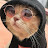 @Mr-hw8yg