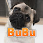パグ犬BuBuチャンネル