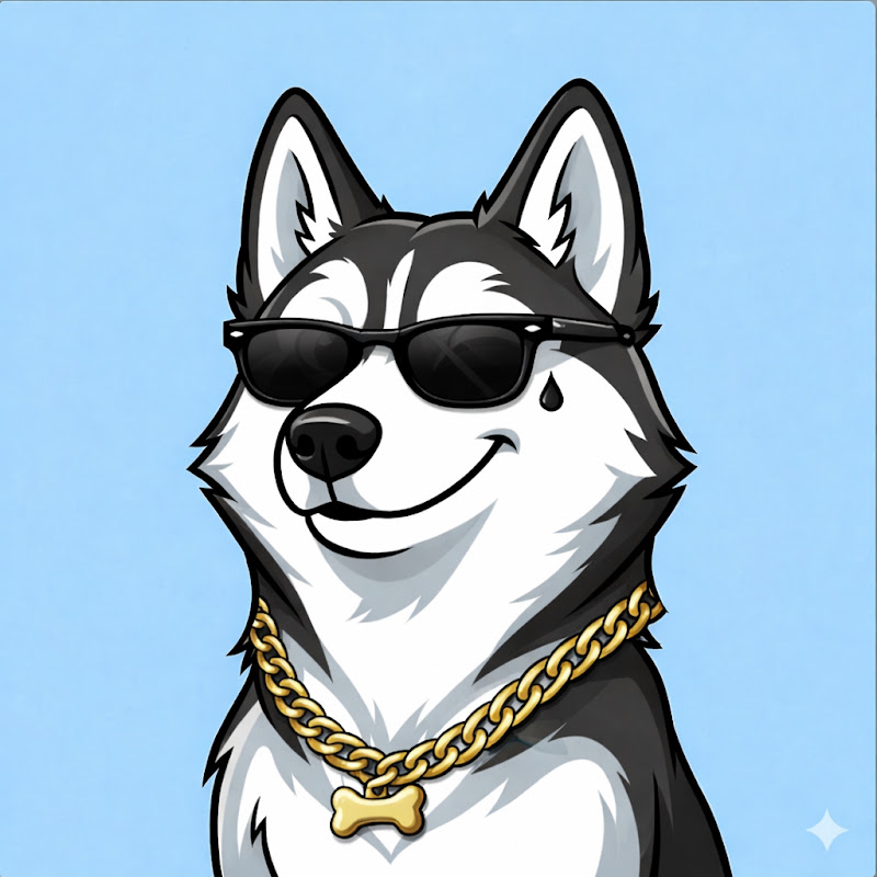 Dogão Quiz