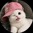 V11dS8h-JIo-channel-avatar-iamynee