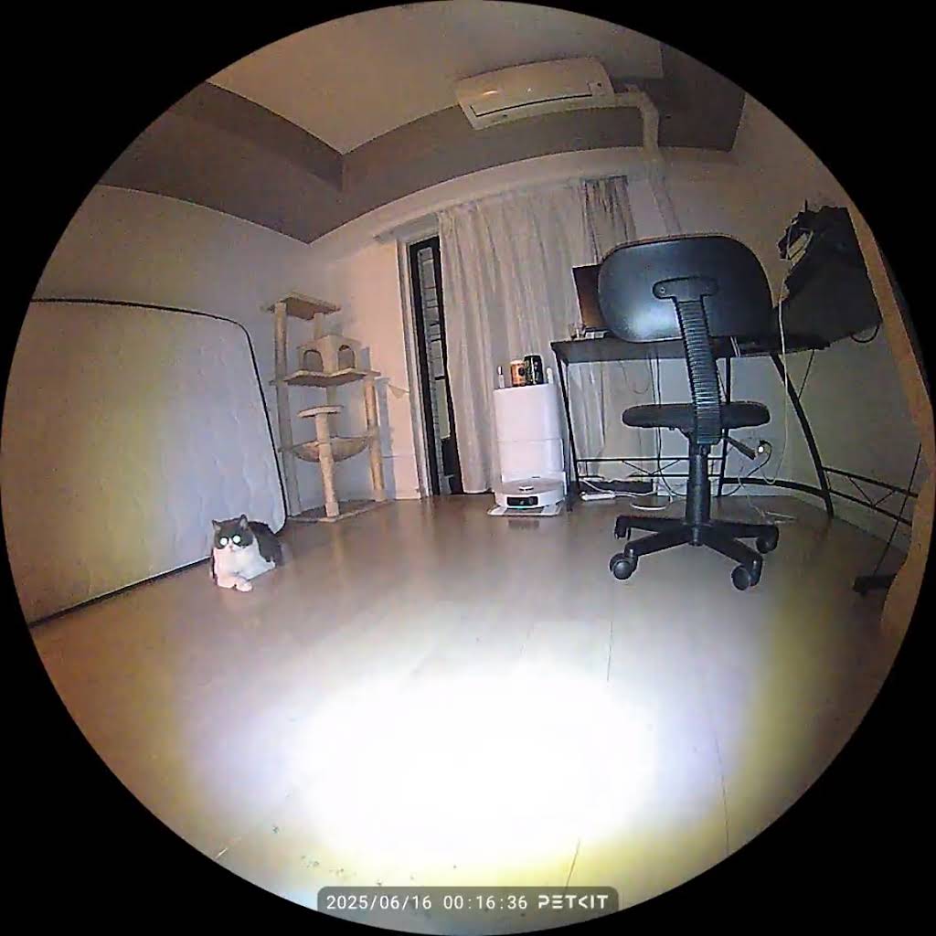 はーまるです✨️ Maru cutest - YouTube