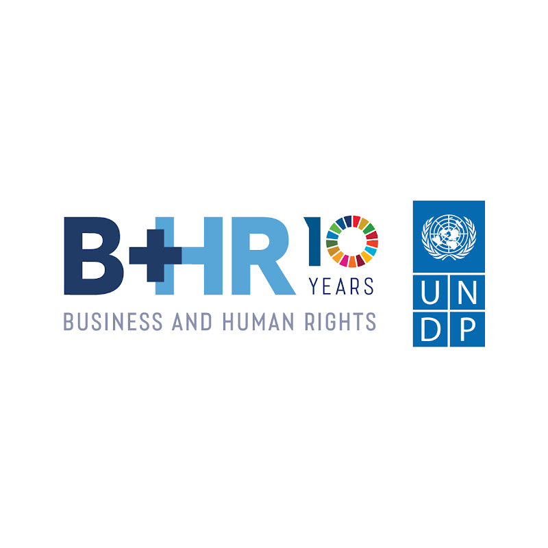 UNDP Business and Human Rights