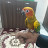 @mudi.conures6566