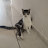 @AninhaMenezes-n6o