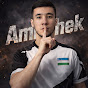 AMIRCEK STRIMER