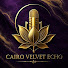 BATmy0duLnc-channel-avatar-Cairo Velvet Echo