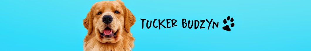 Tucker Budzyn YouTube channel avatar