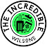 _LlQfN9Y3LY-channel-avatar-The Incredible Wilsons