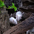 tidPqMhz61s-channel-avatar-Sneaky Squeak