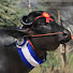 5ZNYSg9NUg8-channel-avatar-Sihag Murrah Farm