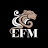 EFM Hub