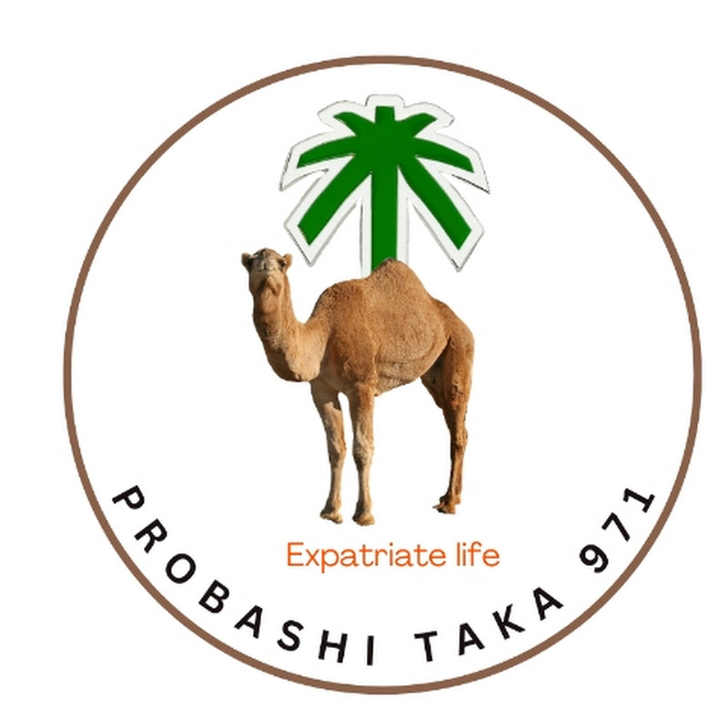 Probashi Taka 971