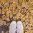 FqOpgKQrmoM-channel-avatar-MindNuNa
