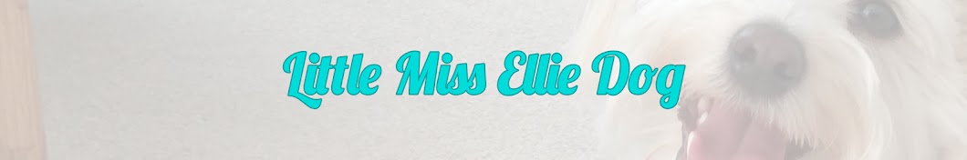 Little Miss Ellie Dog YouTube 频道头像