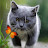 @Sergey.O62rnd