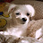 @yool_e9264