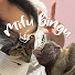 iymXXU37eeY-channel-avatar-mifubingu