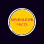 MindBlown Facts logo