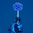 8zcm2Z6TvgI-channel-avatar-144BlueRoseTemple 
