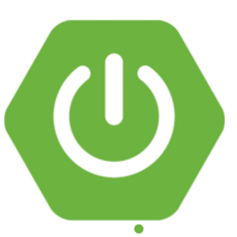 springboot.academy 